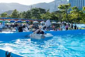 거제여름해양축제
