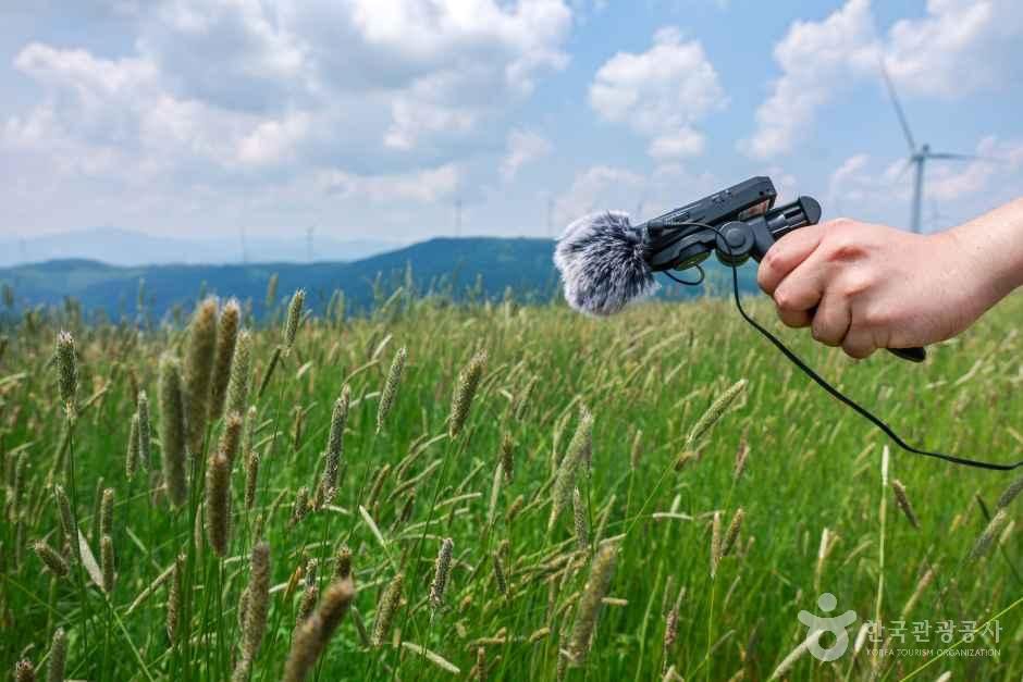 Listening to the Breath of the Vast Meadow