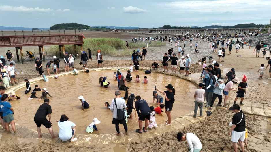 Muan Ocher Tidal Flat Festival