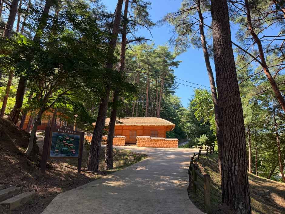 九水谷自然休養林