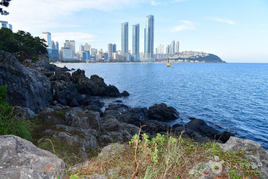海云台冬柏岛