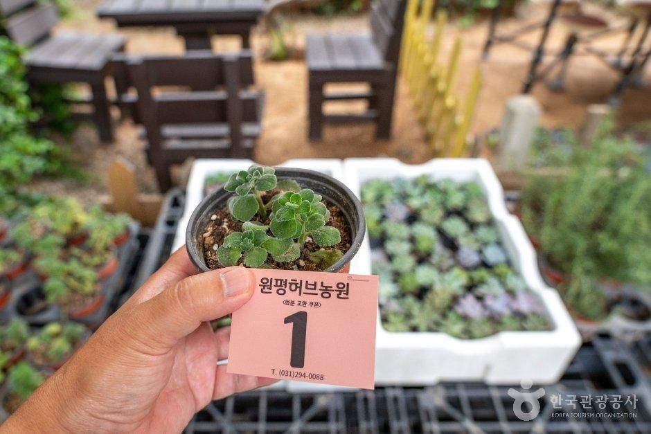 원평허브농원