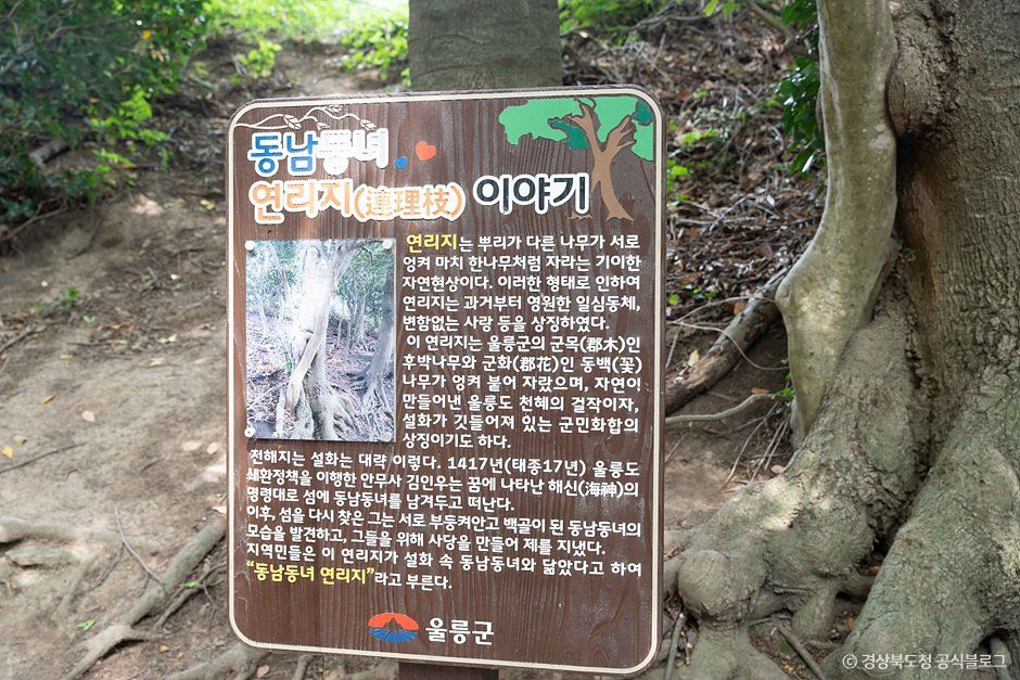 태하마을