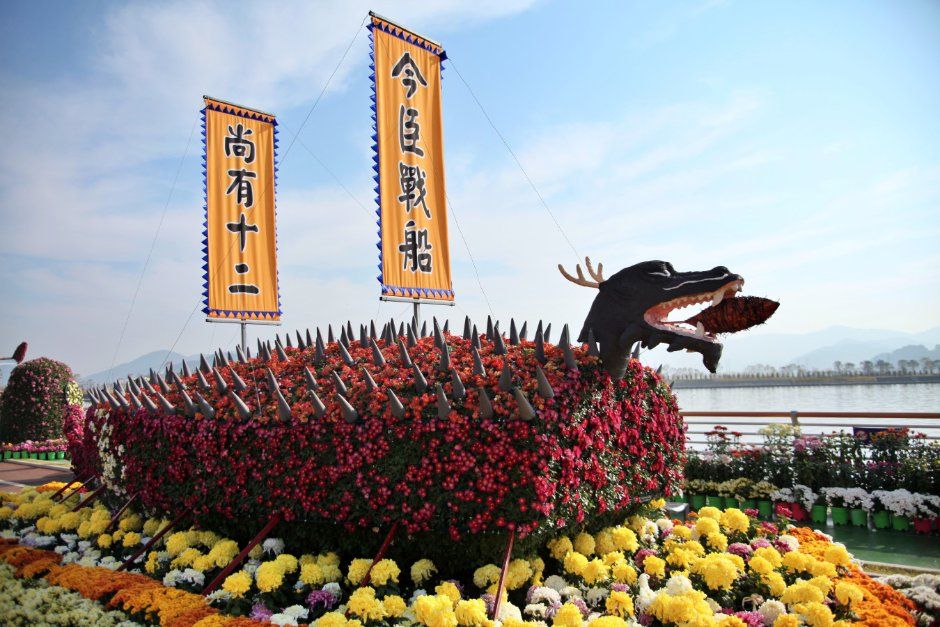 마산가고파국화축제 사진 9