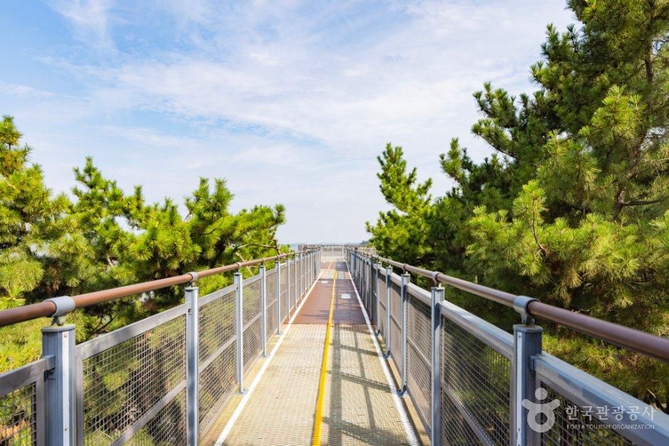 충남_서천군_장항 스카이워크 (기벌포 해전 전망대) (3).jpg