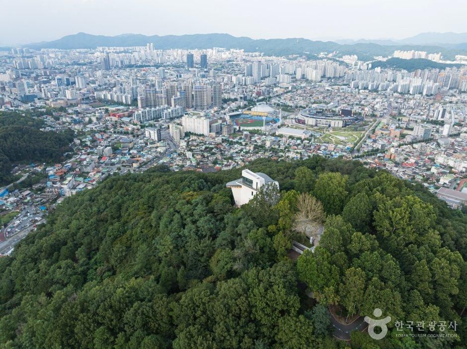 대전_중구_보문산큰나무전망대 (6).jpg