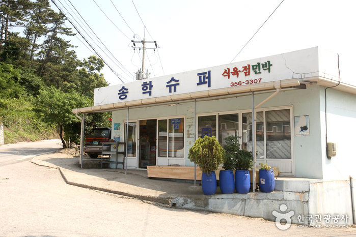 가마미해수욕장 가마미해수욕장