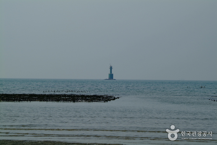 신두리해수욕장 신두리해수욕장
