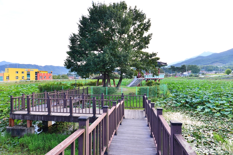 죽동제