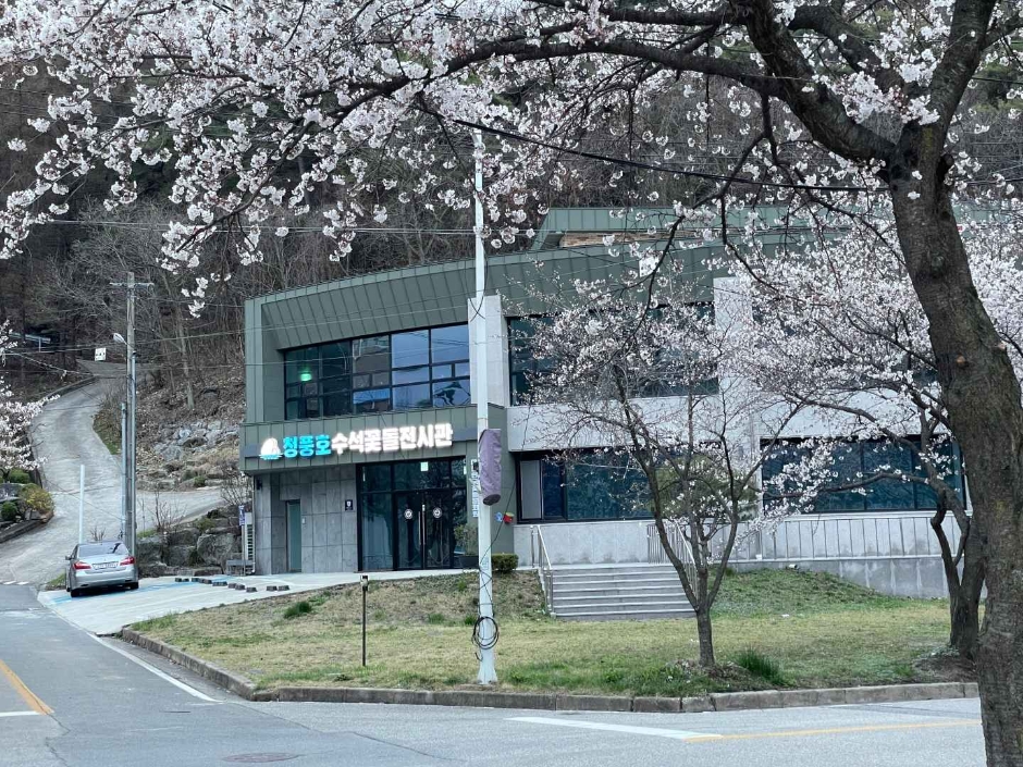 大韓民国花石文化院