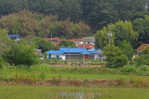 황새마을(서천) 사진 4