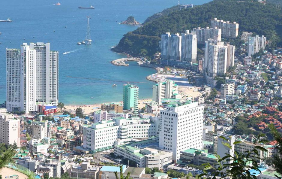 고신대학교복음병원1