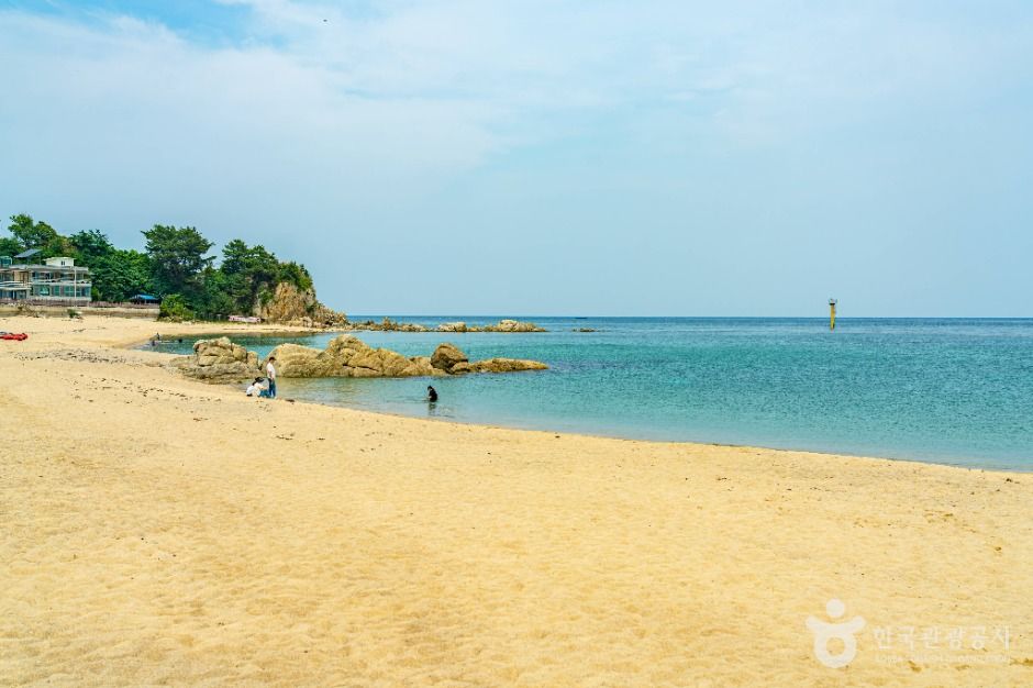 驾津海滩