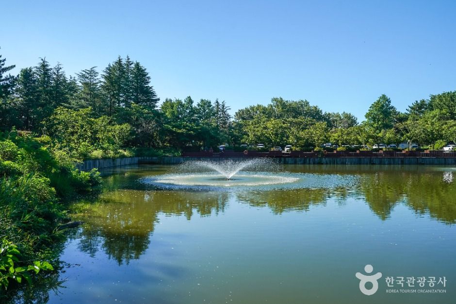 迎日台湖水公園