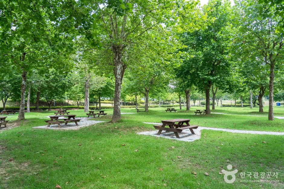 金銀砂江辺公園