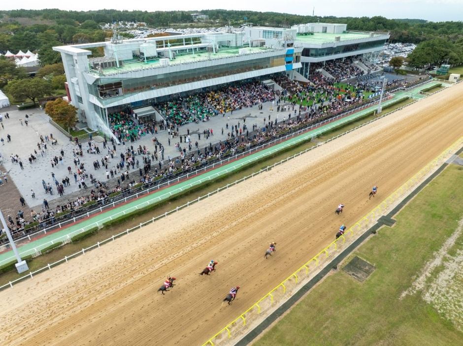 Jeju Horse Festival