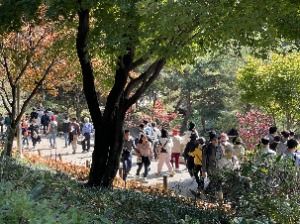  2025 청남대 가을축제 8