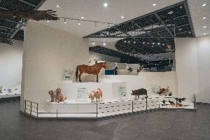 천연기념물센터