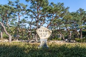 의림지 솔밭공원