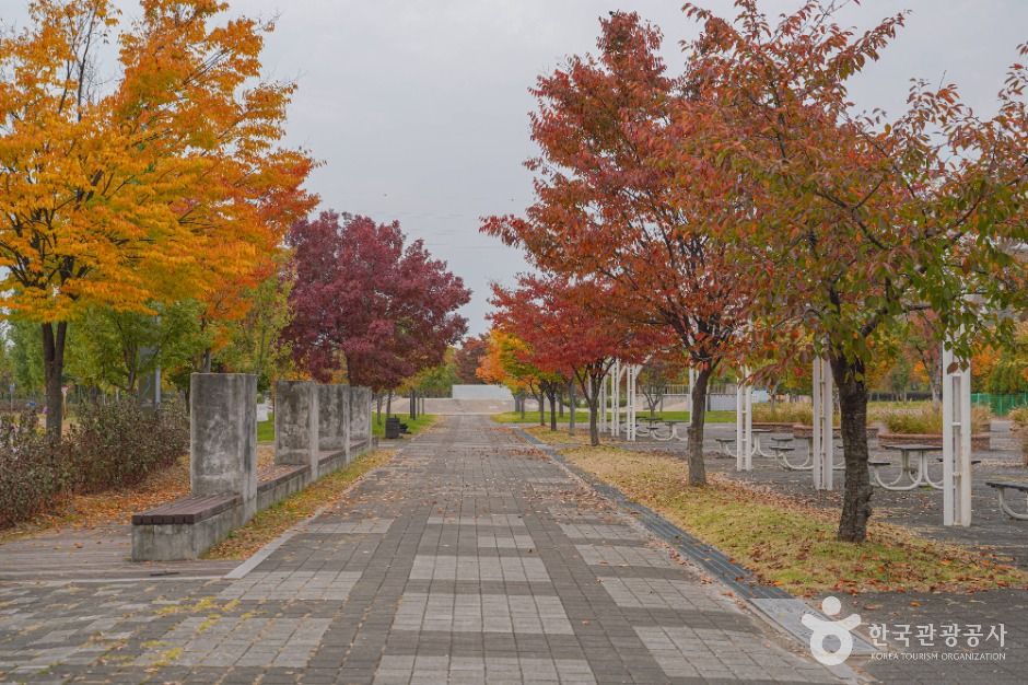 蘭芝漢江公園