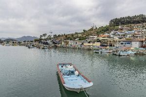 취도 사진 5