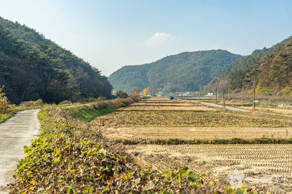 봉하산촌생태마을 1