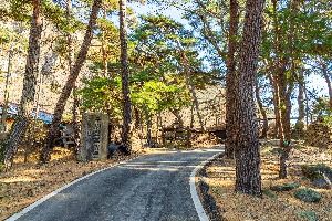 구병리아름마을