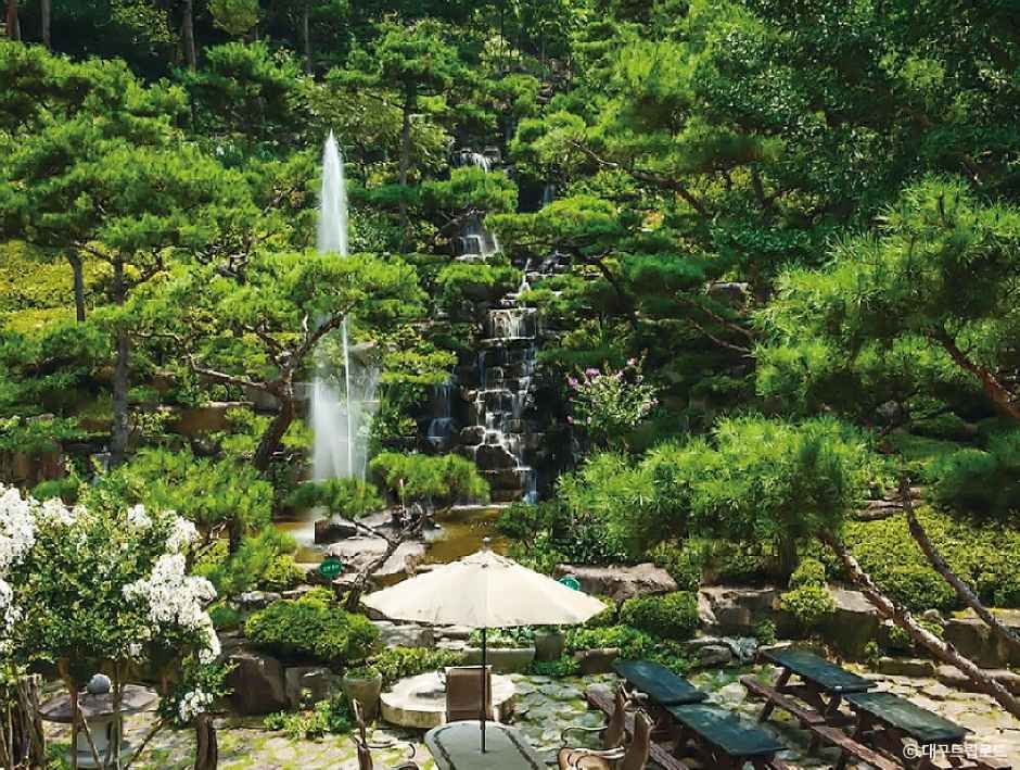 大韓樹木園