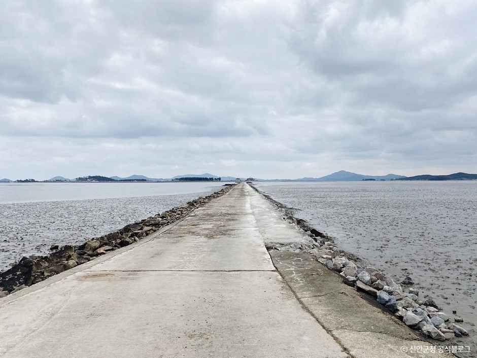 신안_[증도 모실길 2코스] 갯벌공원길 (2).jpg