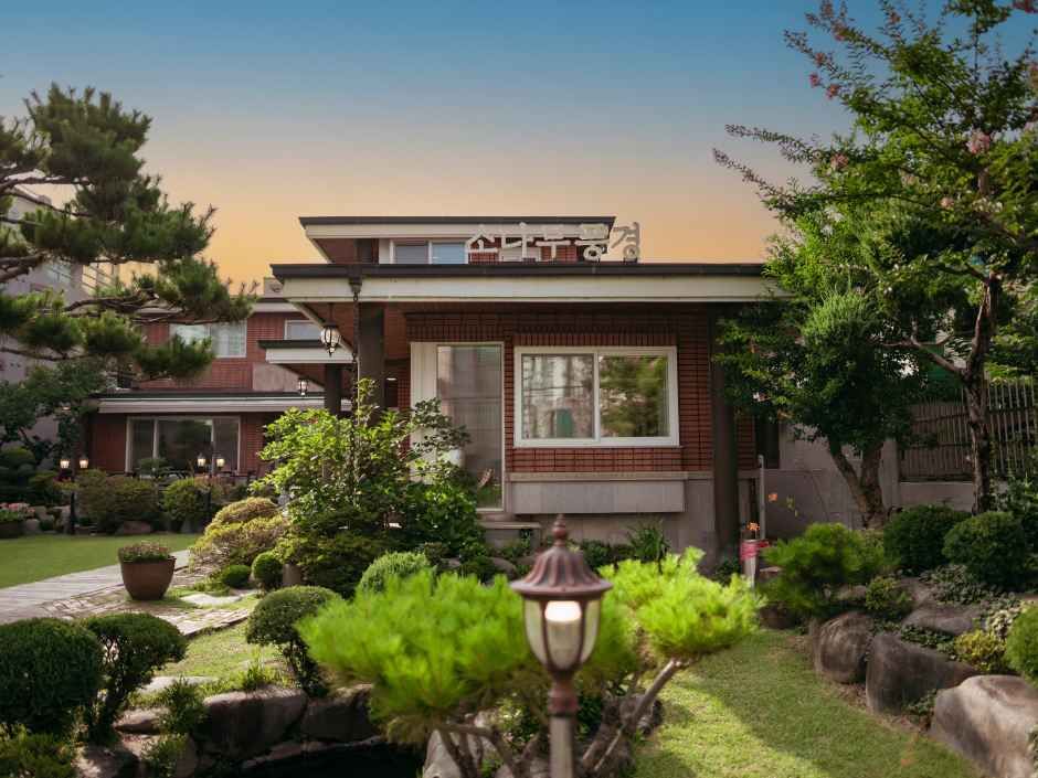 대전_소나무풍경 (1).jpg