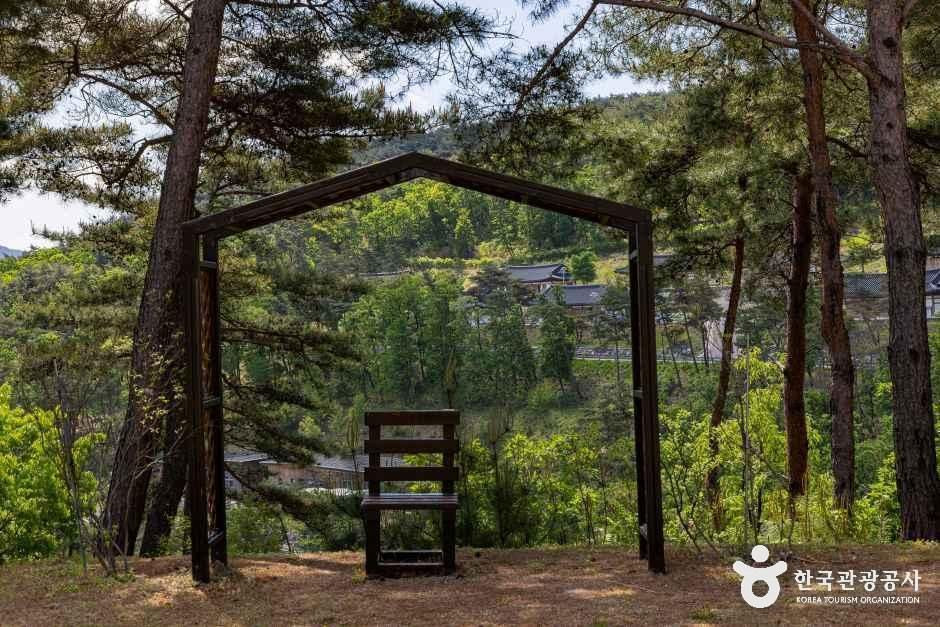 속리산 숲체험휴양마을