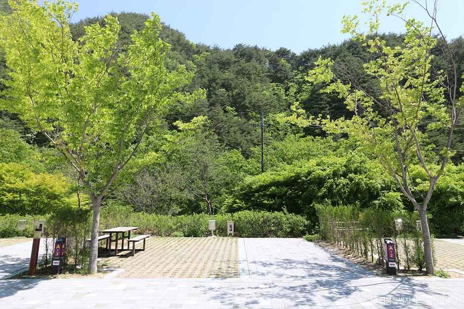 학천 야영장