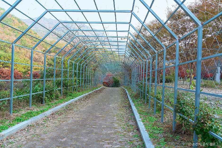 대둔산도립공원(논산)