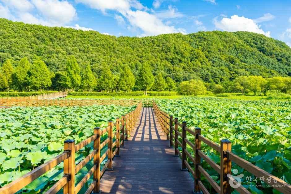 용담호자연생태습지공원 - 전북특별자치도 진안군 진안읍 운산리 관광 명소