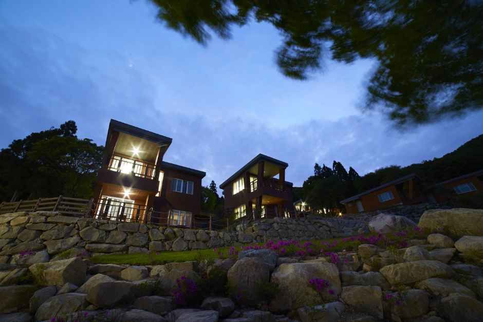 완도자연휴양림