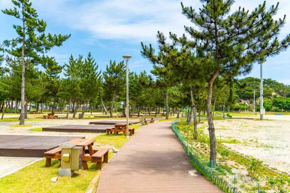 [강원평화누리자전거길 17코스] 고성 송지호 철새길
