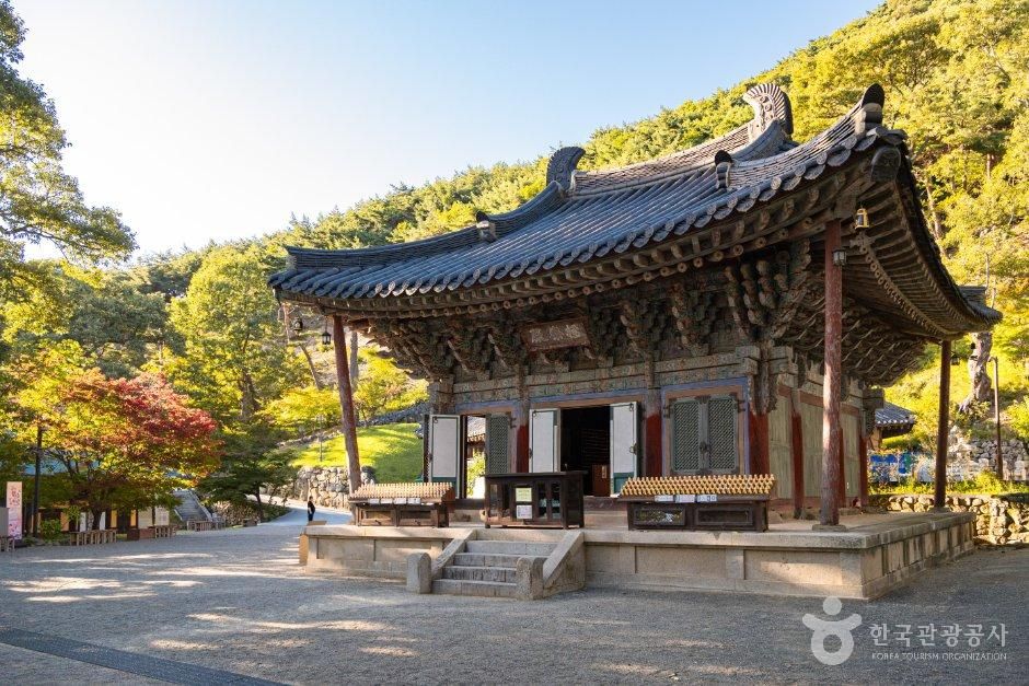 도리사(구미)