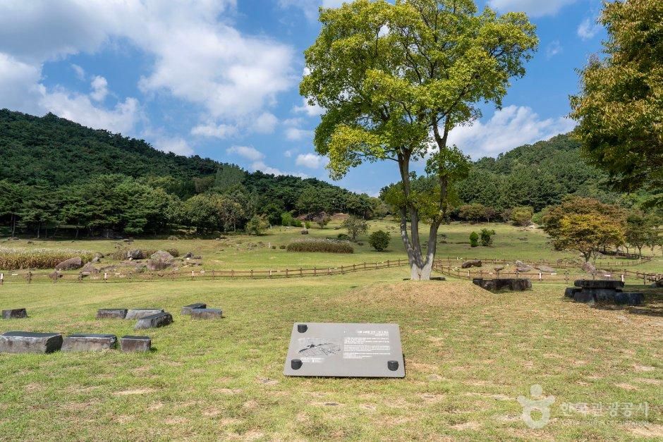 람사르 습지와 고인돌 들녘을 걷는 가족 여행_전북_고창_고창 고인돌 유적 [유네스코 세계유산]_7.jpg