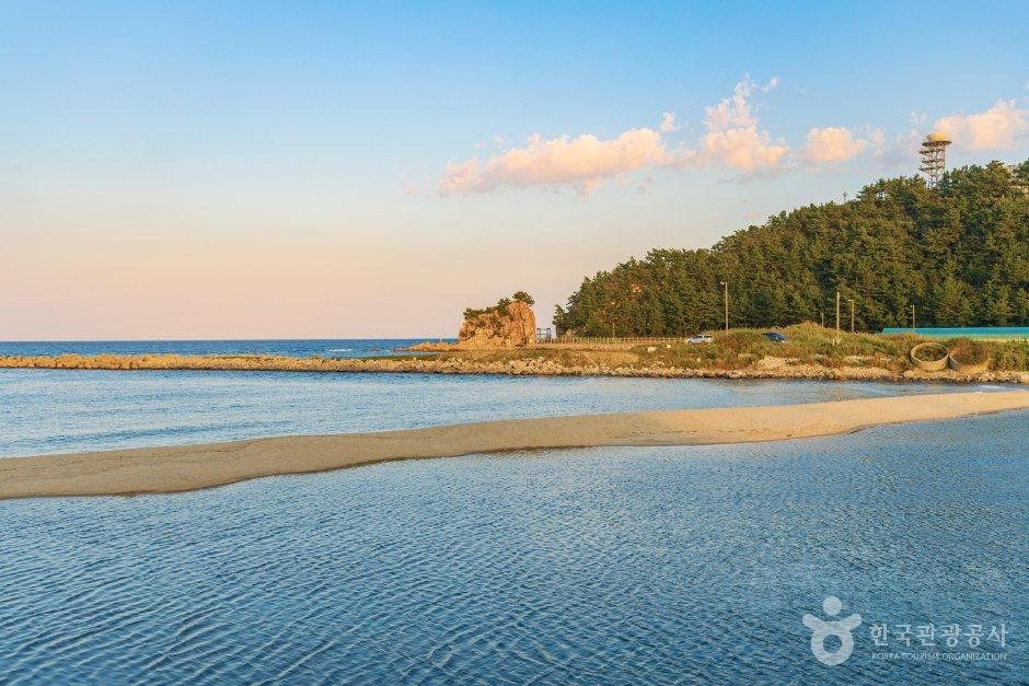 염전해변
