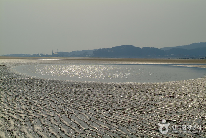 신두리해수욕장 신두리해수욕장