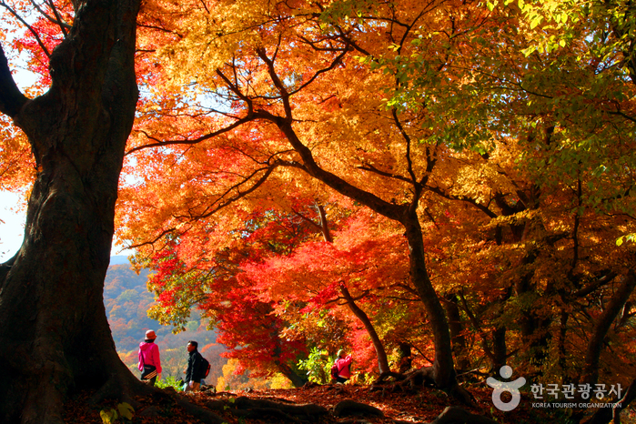 禅雲山（全北西海岸国家地質公園）