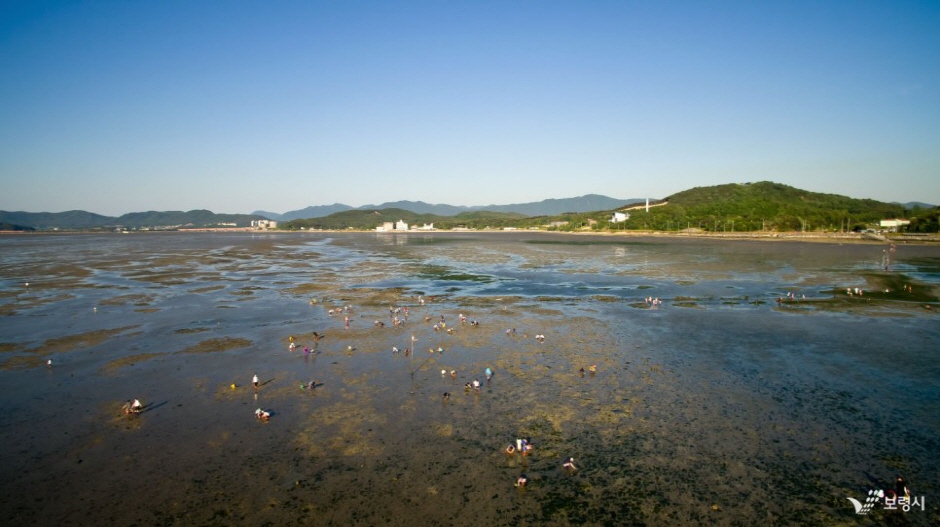 Gunheon Tidal Flat Experience Center