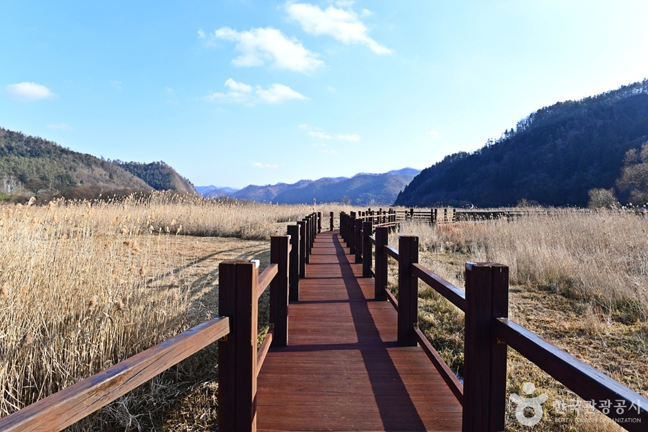 长兴大坝 新丰芦苇湿地