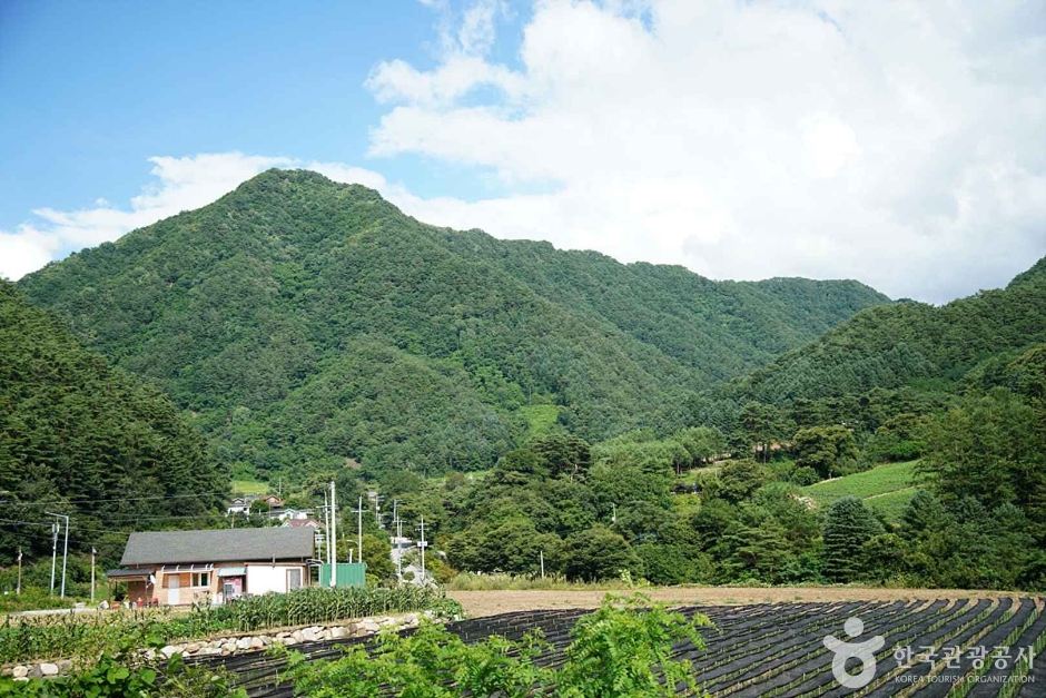 牧牛山