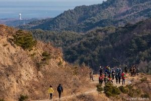 [강릉 바우길 4구간] 사천 둑방길