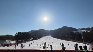 芝山森林渡假村滑雪場(지산 포레스트 리조트 스키장)