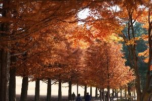  2025 청남대 가을축제 9