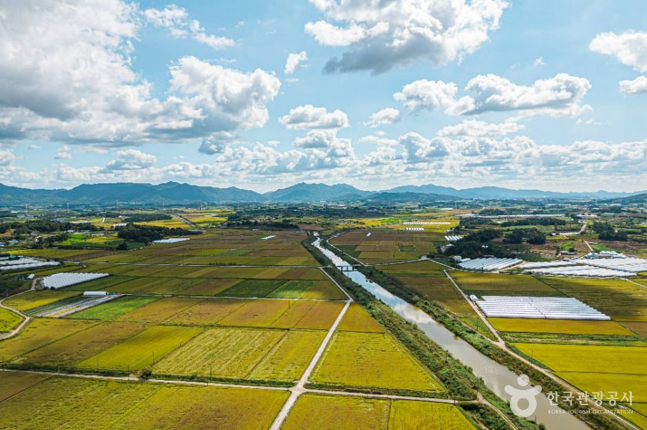 周津川(高敞)