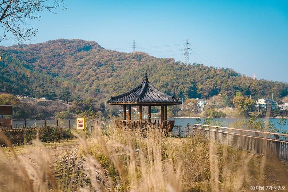 안성 가을 여행 서울 근교 당일치기 단풍 명소_금광호수 하늘전망대_3-10
