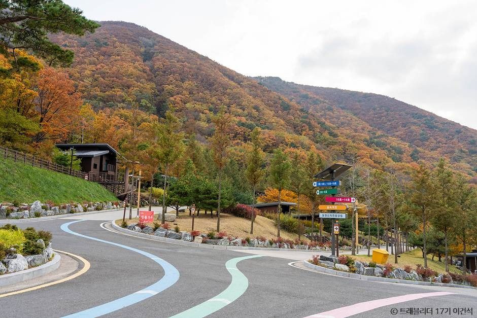 경북 영천 아이랑 가볼만한곳 대구 근교 보현산자연휴양림 천문과학관 예약_보현산자연휴양림_1-3